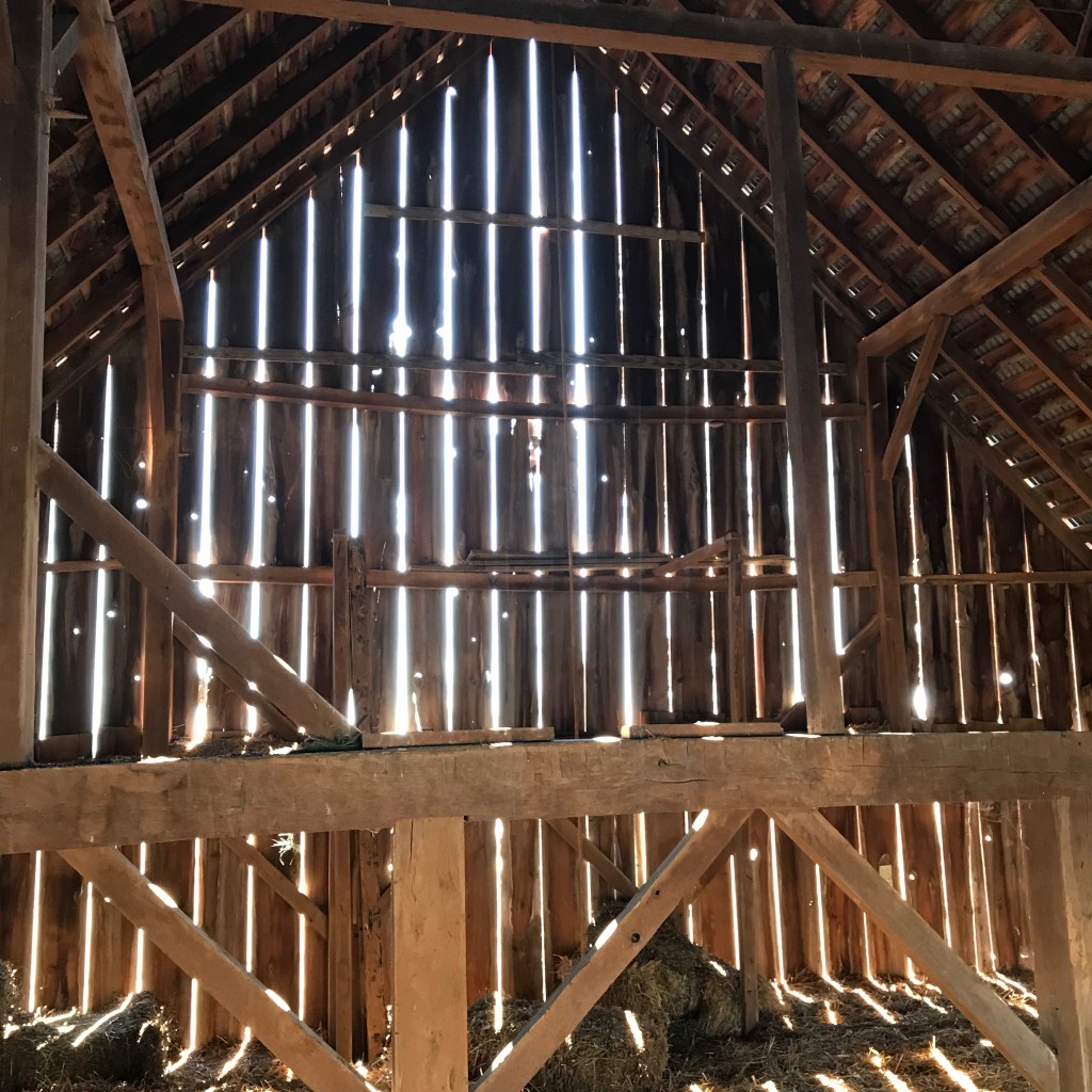 Sun shining through a hay loft in a barn