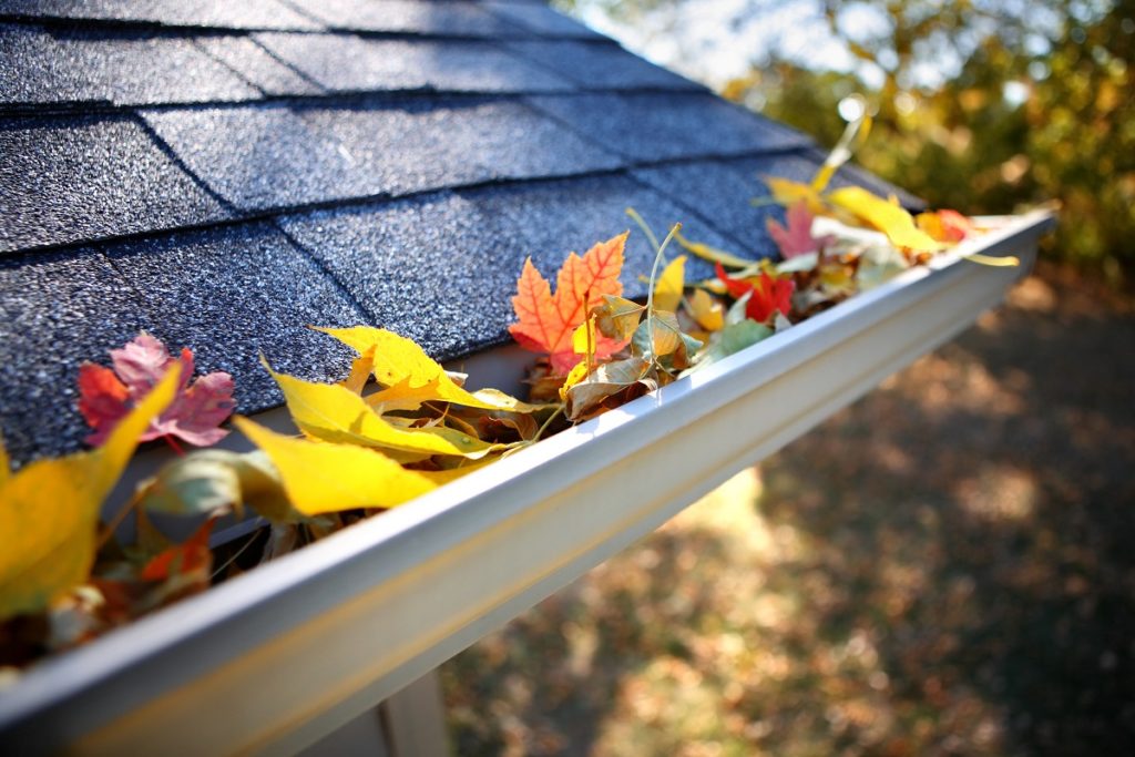 roof gutter with autumn leaves